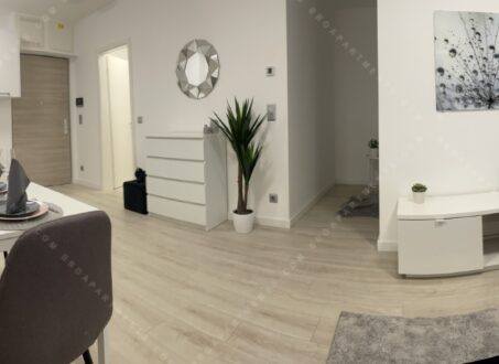 Brand New Apartment for Rent in Corvin Next