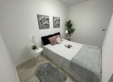 Brand New Apartment for Rent in Corvin Next