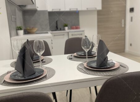 Brand New Apartment for Rent in Corvin Next