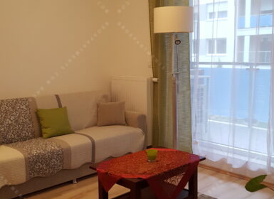 FOR RENT – Modern Apartment near Duna Plaza