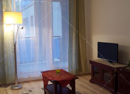 FOR RENT – Modern Apartment near Duna Plaza