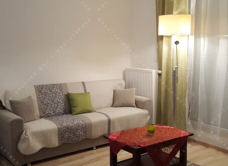 FOR RENT – Modern Apartment near Duna Plaza