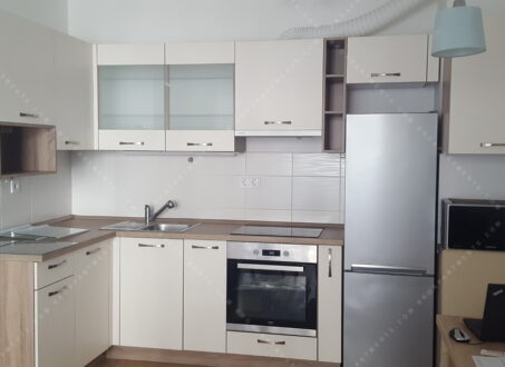 FOR RENT – Modern Apartment near Duna Plaza