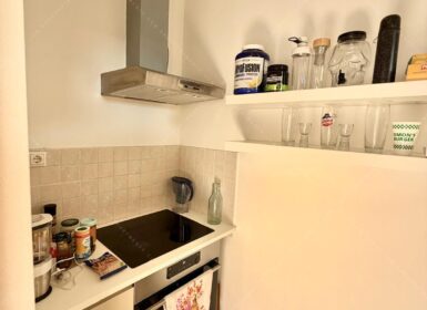 Modern 1-Bedroom Apartment for Rent near Corvin Promenade