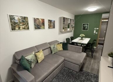 One-Bedroom Apartment with Balcony – Palotanegyed, District VIII, Budapest