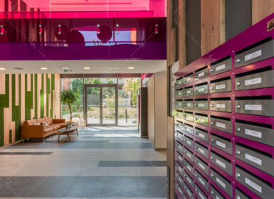 FOR RENT – Modern Apartment near Duna Plaza