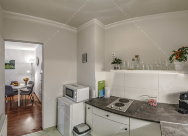 Cozy Renovated Studio for Rent in Central Budapest – Available Mid-April