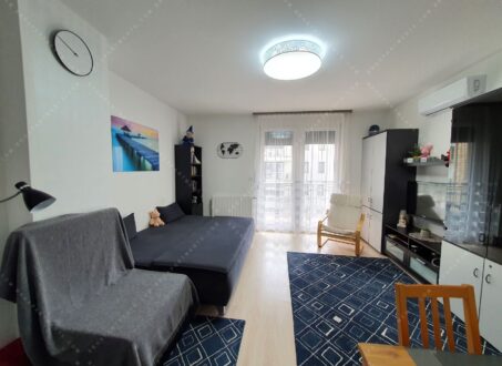 Cozy Fully Furnished Apartment with Balcony for Rent – District 9