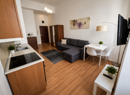 Modern One-Bedroom Apartment for Rent in Dohány utca 40