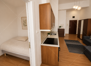 Modern One-Bedroom Apartment for Rent in Dohány utca 40