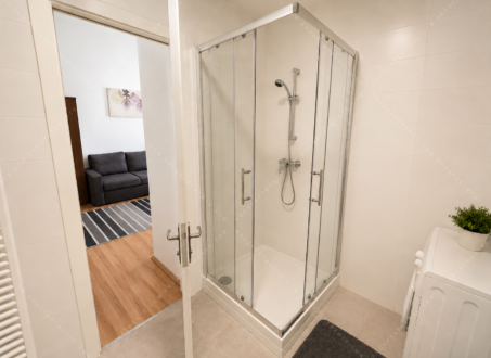 Modern One-Bedroom Apartment for Rent in Dohány utca 40
