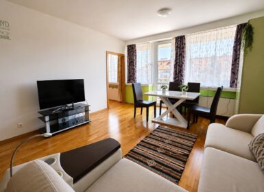 Modern apartment with unique facilities ( Wellness, Gym, Library )