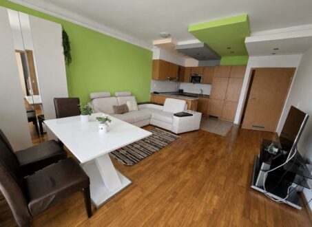 Modern apartment with unique facilities ( Wellness, Gym, Library )