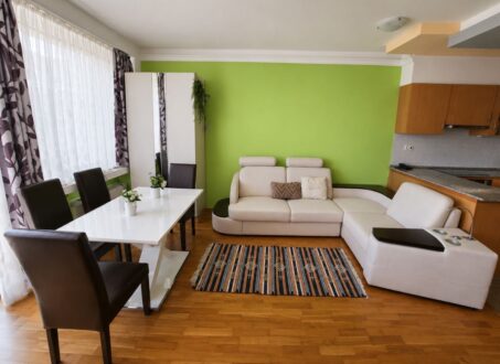 Modern apartment with unique facilities ( Wellness, Gym, Library )