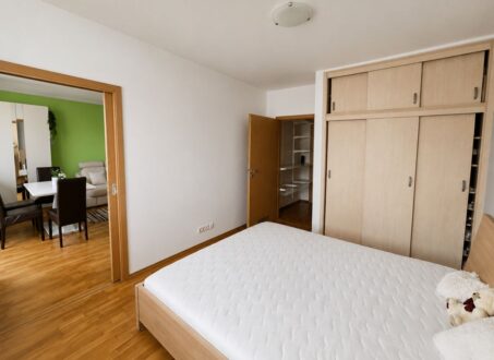 Modern apartment with unique facilities ( Wellness, Gym, Library )