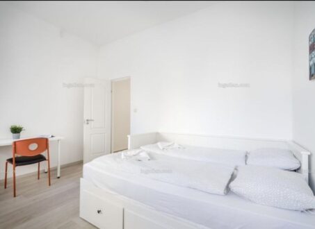 Fully Renovated 1-Bedroom Apartment for Rent – Budapest District V
