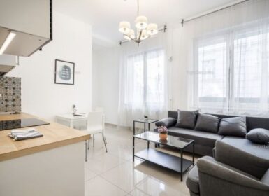 Fully Renovated 1-Bedroom Apartment for Rent – Budapest District V
