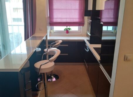 Furnished 2Bedroom Apartment for Rent on Corvin Promenade – from September