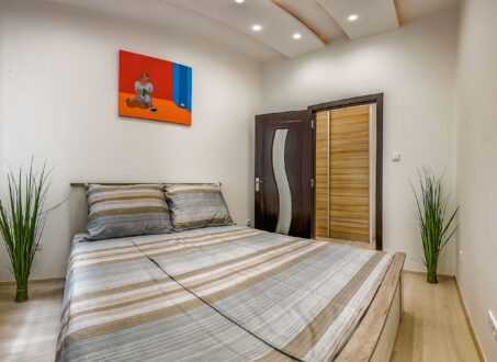 Beautifully Renovated Apartment for Rent in the Heart of Budapest