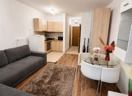 Studio Apartment for Rent – from August