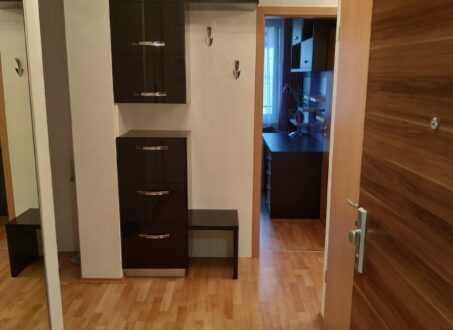 Furnished 2Bedroom Apartment for Rent on Corvin Promenade – from September