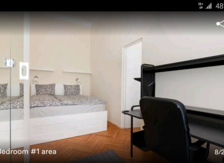 Quiet 2-Bedroom, 2-Bathroom Apartment for Rent in Budapest’s Palace District