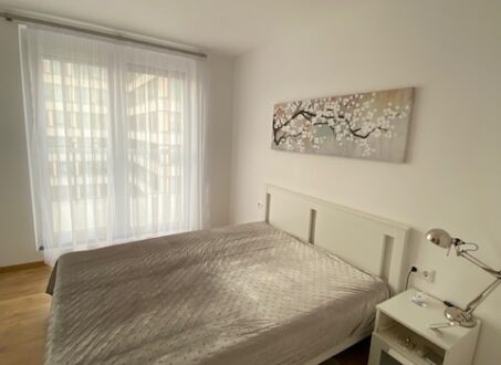 Penthouse Apartment with Spacious Outdoor Areas – For Rent – Angyalföld