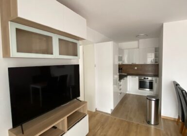 Penthouse Apartment with Spacious Outdoor Areas – For Rent – Angyalföld