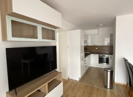Penthouse Apartment with Spacious Outdoor Areas – For Rent – Angyalföld