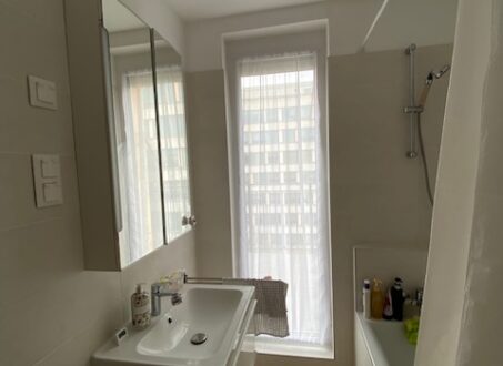 Penthouse Apartment with Spacious Outdoor Areas – For Rent – Angyalföld