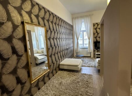 Bright, Renovated Apartment for Rent in Budapest District VI – Weiner Leó Street