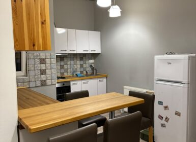 Bright, Renovated Apartment for Rent in Budapest District VI – Weiner Leó Street