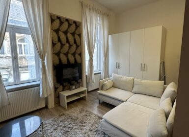 Bright, Renovated Apartment for Rent in Budapest District VI – Weiner Leó Street