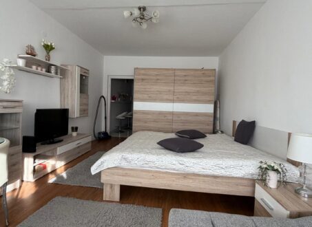 Bright Studio with Gellért Hill Views – District VIII, Tömő Street