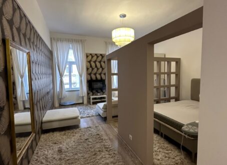 Bright, Renovated Apartment for Rent in Budapest District VI – Weiner Leó Street