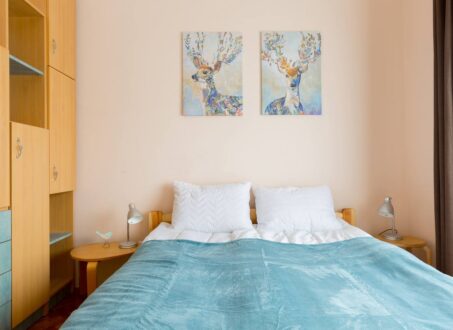 Spacious 2-Bedroom Apartment Near Corvinus University – District IX